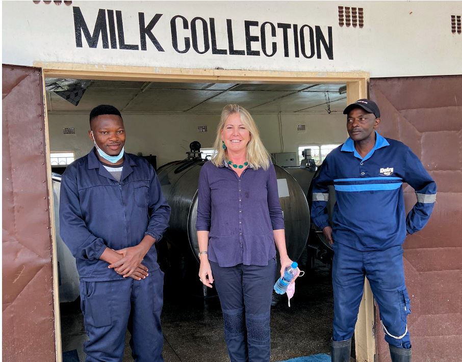 Jersey milk processing plant Zambia