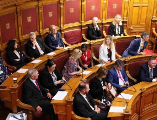 First Impressions of the States Assembly