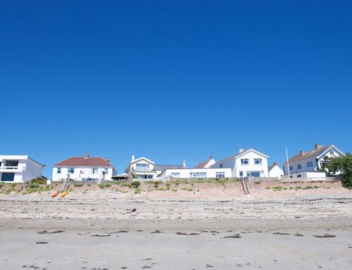 Foreshore update January 2023