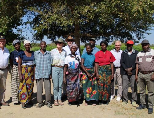 British High Commissioner Zambia