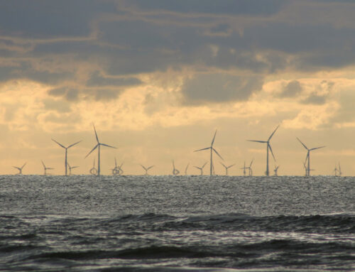 Renewable Energy and Green Initiatives
