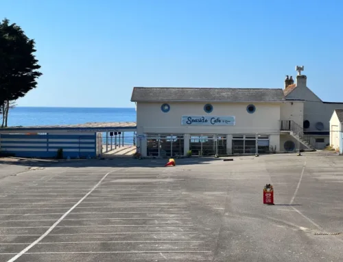 Spring 2024 – News and States Assembly