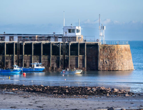 Winter newsletter 2025